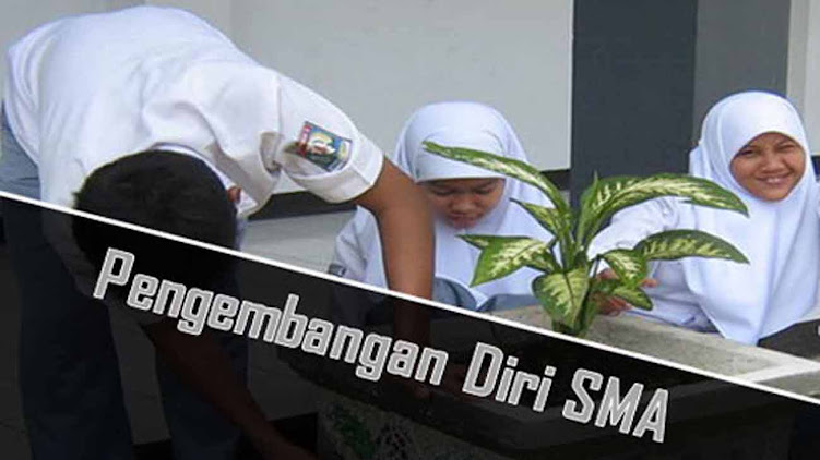Kali dibaca Manfaat Mengikuti Kegiatan Alumni SMA untuk Pengembangan Diri
